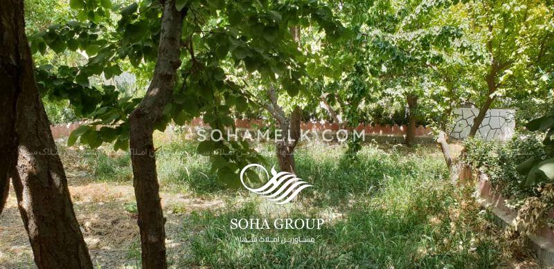 فروش 1000 متر باغ ویلای سرسبز در ملارد