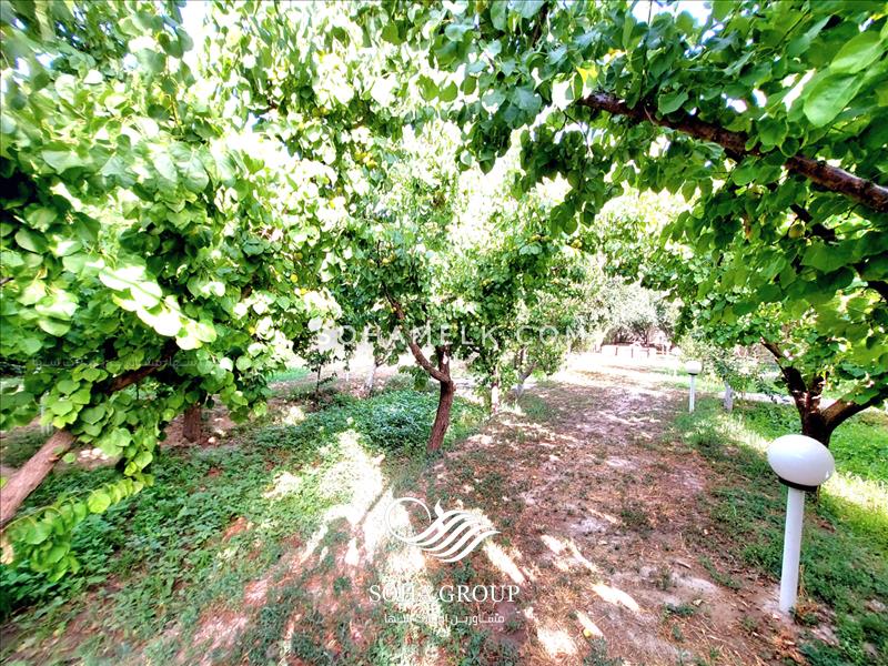 2300 متر باغ ویلای سرسبز در منطقه اسفندآباد ملارد