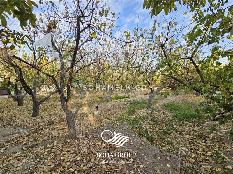 2500 متر باغ ویلای بسیار زیبا در منطقه خوشنام ملارد