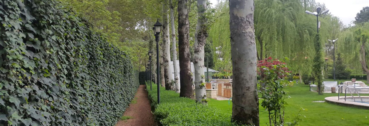 آرامش و لذت آخر هفته با خرید باغ ویلا در ملارد
